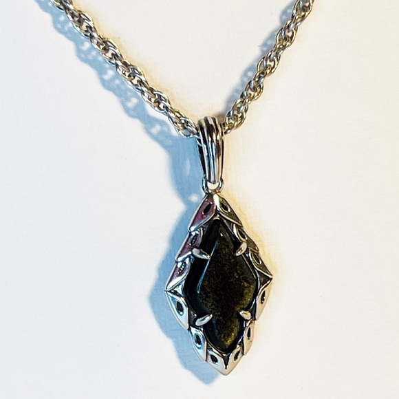 Kendra Scott Silver Necklace with Golden Obsidian - Picture 6 of 9